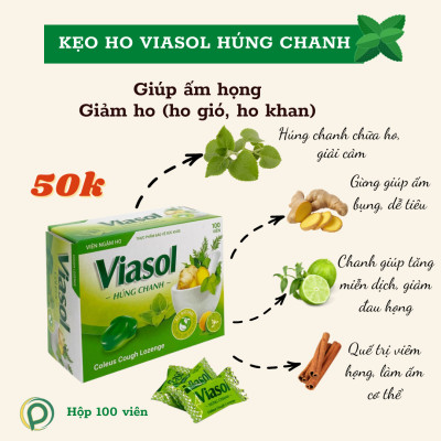 Kẹo ngậm Viasol húng chanh Vietnat giảm ho ấm họng - hộp 100 viên