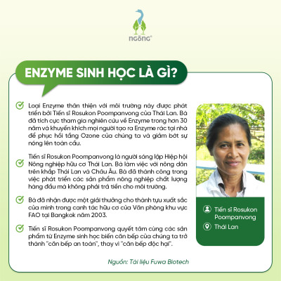 Lau Sàn Nhà Fuwa3e Hương Sả Chanh/Tinh Dầu Quế Enzyme Sinh Học Sạch Khuẩn Đuổi Muỗi An Toàn Chai 1L