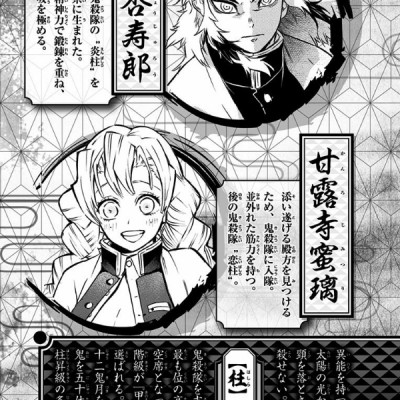 Demon Slayer: Kimetsu No Yaiba Side Stories (Japanese Edition)