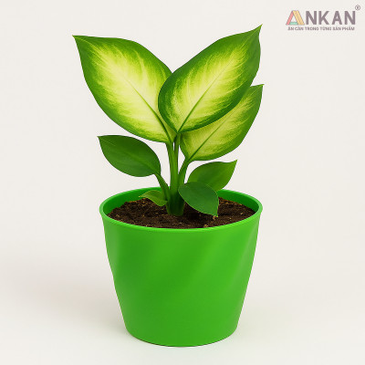 Chậu nhựa xoắn trồng cây ANKAN cho hoa hồng, cây cảnh mini, trồng rau, để bàn, treo ban công