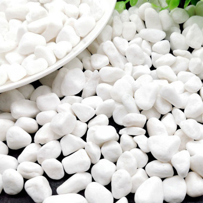 500g Sỏi trắng dải trang trí chậu cây, bể cá - Cây giả, hoa lụa Decor trang trí nhà cửa