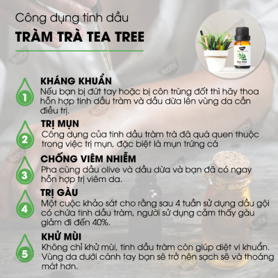 Combo 3 Tinh Dầu Xông Phòng Kobi: Tinh Dầu Hương Thảo (30ml) + Tinh Dầu Cam Ngọt (30ml) + Tinh Dầu Tràm Trà (30ml) - Tinh Dầu Thiên Nhiên Nguyên Chất, Tốt Cho Bé Sơ Sinh, Giúp Giữ Ấm Cơ Thể, Phòng Ngừa Bệnh Hô Hấp Hiệu Quả