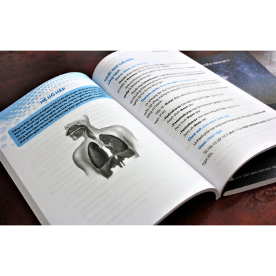 Sách - Thuật Ngữ Tiếng Anh Chuyên Ngành Y Khoa - Cho Người Mới Bắt Đầu (PN)