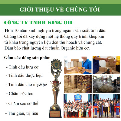 Tinh dầu Khuynh Diệp (bạch đàn) 50ml nguyên chất từ thiên nhiên - KingOil