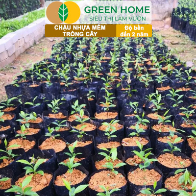 Chậu Trồng Cây Greenhome, nhiều kích thước, Nhựa Mềm, Dẻo, Nhẹ, Trồng Cây, Bầu Ươm Cây Giống, Độ Bền Đến 2 Năm