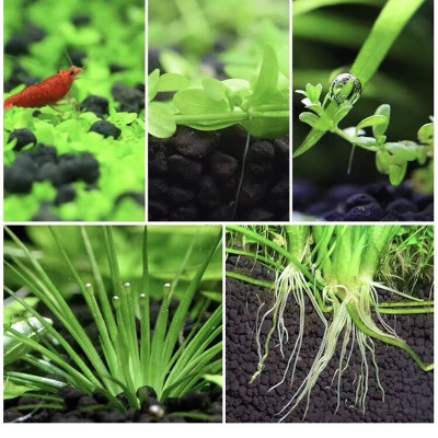 Phân nền thủy sinh DIAMAX AQUA2KG + Xốp Lọc Bể Cá 90x30cm vật liệu lọc nước hồ cá siêu sạch 