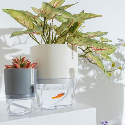 Chậu trồng cây tự tưới thông minh MONROVIA, cho hoa, cây cảnh, bonsai, để bàn, ban công Tiêu Chuẩn Châu Âu