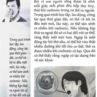 10 Vạn Câu Hỏi Vì Sao? - Con Người (Tái Bản 2023)