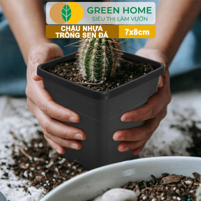 Bộ 10 Chậu Nhựa Trồng Sen Đá Greenhome, 7x8cm, Siêu Bền, Đẹp, Đa Năng, Trồng Mọi Loại Cây, Tiết Kiệm Không Gian
