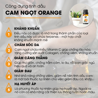 Combo Tinh Dầu Xông Phòng Cam Ngọt Kobi (50ml) + Tinh Dầu Vỏ Quế Kobi (50ml) - Tinh Dầu Thiên Nhiên Nguyên Chất, Giúp Giảm Stress, Xua Đuổi Côn Trùng Và Khử Mùi Hiệu Quả, Thích Hợp Dùng Với Đèn Xông Và Máy Khuếch Tán