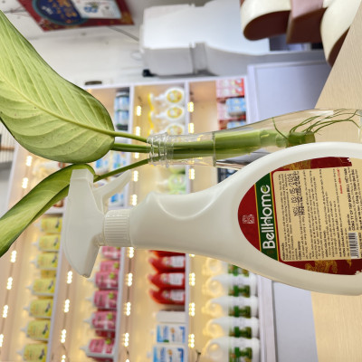 Nước Thơm Bao Sái Bàn Thờ Công Nghệ Sinh Học Bell Home