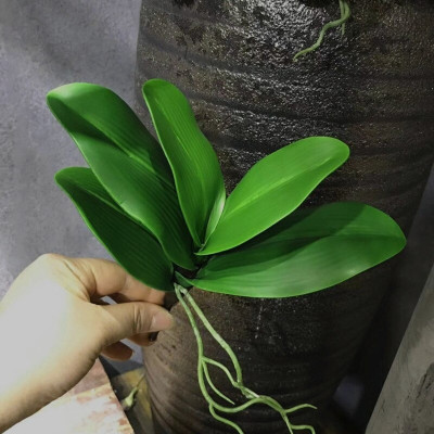 Lá lan hồ điệp giả giống thật 99% - 1 cụm gồm 5 lá - dài 27cm - Cây giả, hoa lụa Decor trang trí nhà cửa