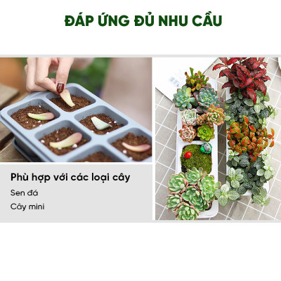 Chậu trồng sen đá MONROVIA, kèm đĩa lót, trồng cây mini, bonsai, xương rồng, decor bàn làm việc