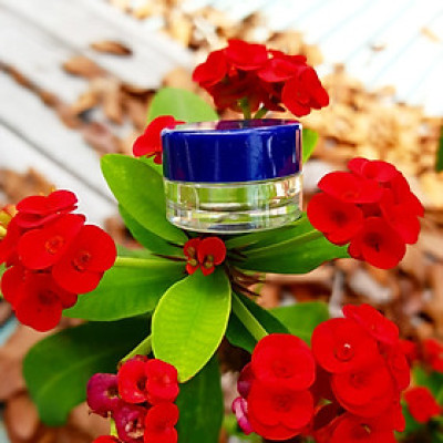 Hũ nhựa chiết mỹ phẩm đáy tròn có nắp kín đựng mỹ phẩm sang chiết nhỏ gọn an toàn tiện lợi 5g