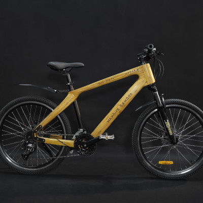 Xe đạp khung tre HayBike BamBoo