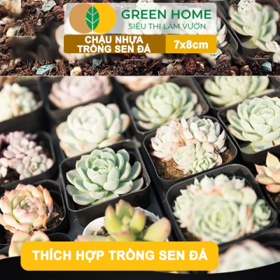 Bộ 10 Chậu Nhựa Trồng Sen Đá Greenhome, 7x8cm, Siêu Bền, Đẹp, Đa Năng, Trồng Mọi Loại Cây, Tiết Kiệm Không Gian