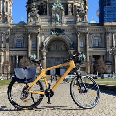 Xe đạp thể thao khung tre - Trevi Elite Sport