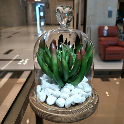 500g Sỏi trắng dải trang trí chậu cây, bể cá - Cây giả, hoa lụa Decor trang trí nhà cửa