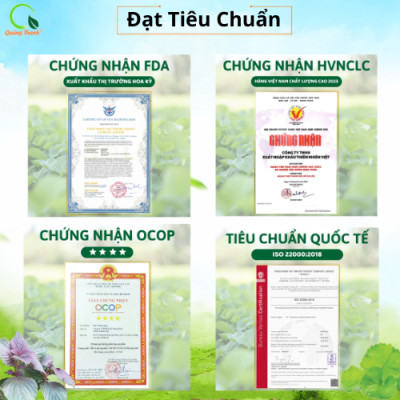 [CHÍNH HÃNG] Trà Diếp Cá Túi Lọc Quảng Thanh - Giảm Nhiệt, Thanh Nhiệt - Túi 5 Gói