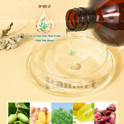 Dầu Massage Body 500ml Tinh Chất Gừng Ngải Cứu Spa Đông Y Cổ Vai Gáy Dưỡng Sinh Giảm Đau Xương Khớp