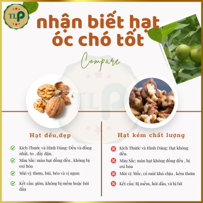 HẠT ÓC CHÓ TÂN LỘC PHÁT THƠM NGON BỔ DƯỠNG