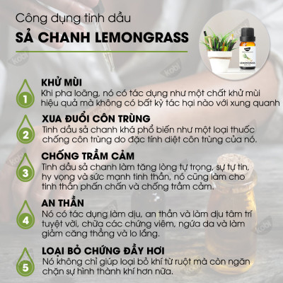 Combo 2 Tinh Dầu Xông Phòng Kobi: Tinh Dầu Sả Chanh (50ml) + Tinh Dầu Cam Ngọt (50ml) - Tinh Dầu Thiên Nhiên Nguyên Chất, Giúp Giảm Stress, Xua Đuổi Côn Trùng Và Khử Mùi Hiệu Quả, Thích Hợp Dùng Với Đèn Xông Và Máy Khuếch Tán  Tinh Dầu