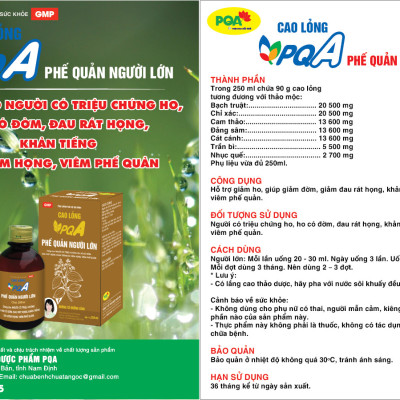 Phế Quản Người Lớn PQA Hỗ Trợ Thanh Họng, Giảm Viêm Phế Quản, Hen Suyễn, Ho Nhiều Hộp 250ml