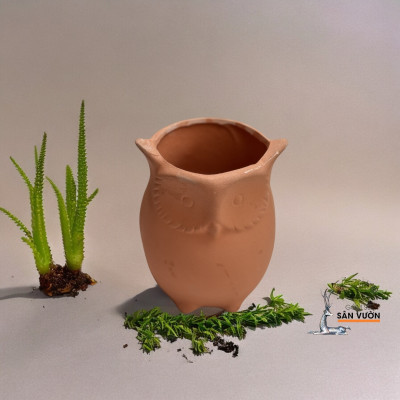 Chậu Gốm Đất Nung Hình Chú Cú Nhỏ Dễ Thương _ Chậu Gốm Đất Nung Trồng Sen Đá