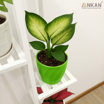 Chậu nhựa xoắn trồng cây ANKAN cho hoa hồng, cây cảnh mini, trồng rau, để bàn, treo ban công