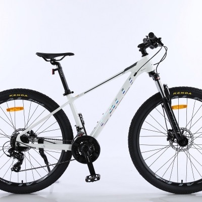 Xe đạp thể thao CALLI 4100 Khung nhôm cao cấp không mối hàn, Phanh dầu thủy lực 