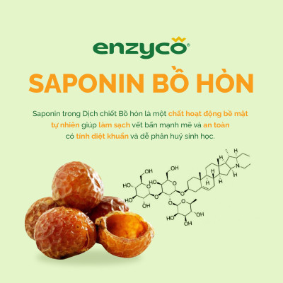 Nước giặt sinh học ENZYCO 2L - Chiết xuất Bồ hòn và Enzyme Dứa