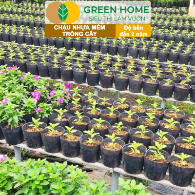 Chậu Trồng Cây Greenhome, nhiều kích thước, Nhựa Mềm, Dẻo, Nhẹ, Trồng Cây, Bầu Ươm Cây Giống, Độ Bền Đến 2 Năm