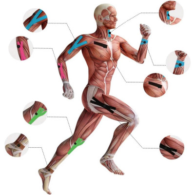1 Cuộn 2,5cm x 5m Băng Keo Thể Thao Chất Thun Co Giãn Hỗ Trợ Cơ Bắp, Khớp (Kinesiology Tape) - Giao Màu Ngẫu Nhiên