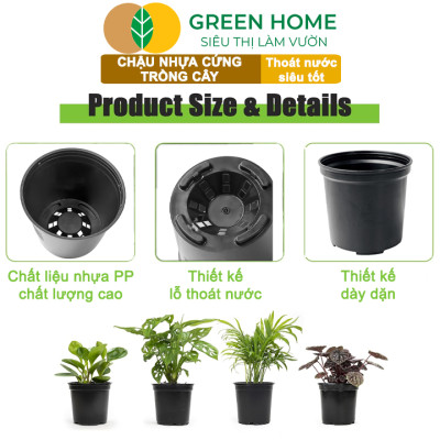 Bộ 3 Chậu nhựa trồng cây, nhiều kích thước, thoát nước tốt, đa dạng kích thước trồng cây, hoa, kiểng lá |Greenhome