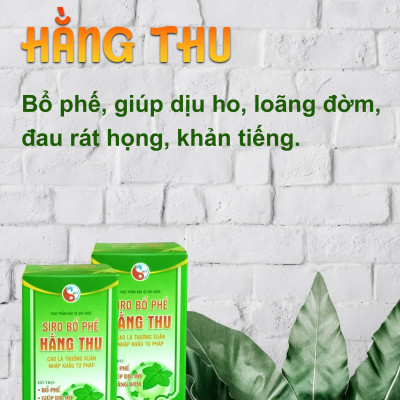 Siro Bổ Phế HT giúp hỗ trợ bổ phế. Hỗ trợ giảm ho, hỗ trợ giảm đờm, giảm đau rát họng, công dụng tiêu đờm, bổ phổi