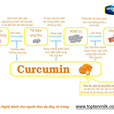 Sữa nghệ curcumin 800g TOPTEN Milk sữa bột cho người bị đau dạ dày tá tràng,phụ nữ sau sinh ,đẹp da