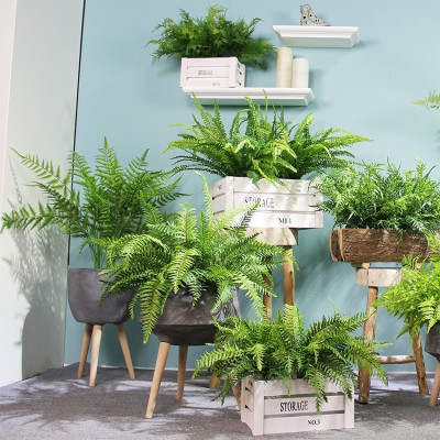 Dương xỉ trang trí - Dài 25cm - Đường kính 50cm - Cây giả, hoa lụa Decor trang trí nhà cửa