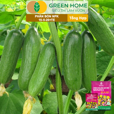 Phân NPK 15-5-20 Greenhome, Minro, Bao 200gr, Kích Ra Hoa, Tăng Đậu Trái Trên Kiểng, Cây Ăn Trái, Củ, Quả