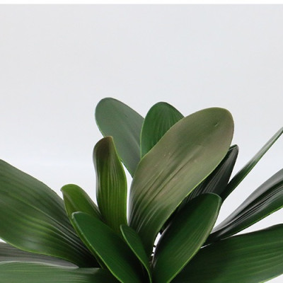 Lá lan hồ điệp giả giống thật 99% - 1 cụm gồm 5 lá - dài 27cm - Cây giả, hoa lụa Decor trang trí nhà cửa