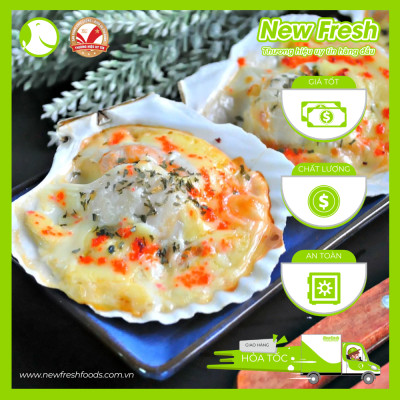 Sò Điệp Nhật Nửa Mảnh Size Lớn - Túi 1Kg