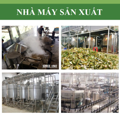 Tinh dầu Sả Java nguyên chất tự nhiên, xông phòng, khử mùi, thơm phòng, đuổi muỗi, thư giản - KingOil