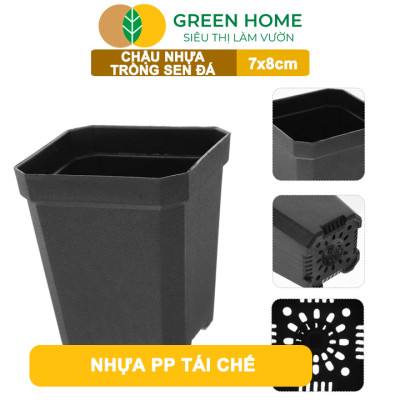 Bộ 10 Chậu Nhựa Trồng Sen Đá Greenhome, 7x8cm, Siêu Bền, Đẹp, Đa Năng, Trồng Mọi Loại Cây, Tiết Kiệm Không Gian