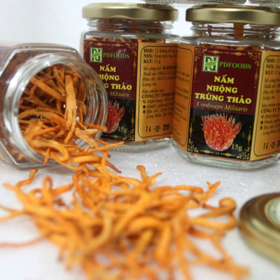 Nấm nhộng trùng thảo khô 15g PDFOODS_Cordyceps militaris