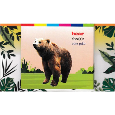 Sách - Bộ Thẻ Học Tiếng Anh - Phát Triển Trí Tuệ Cho Trẻ - Động Vật Hoang Dã - Hồng Ân