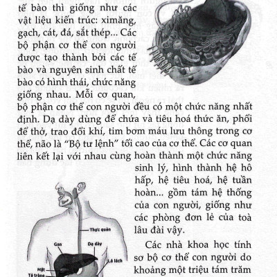 10 Vạn Câu Hỏi Vì Sao? - Con Người (Tái Bản 2023)