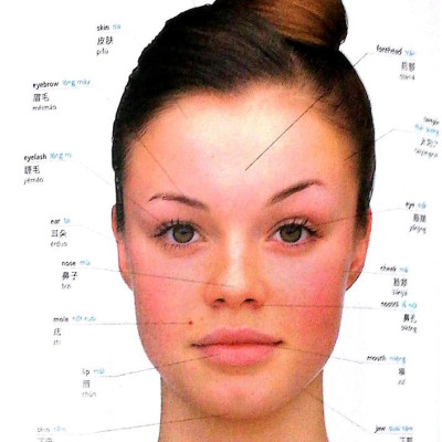 Visual English Vietnamese Chinese Trillingual Dictinonary