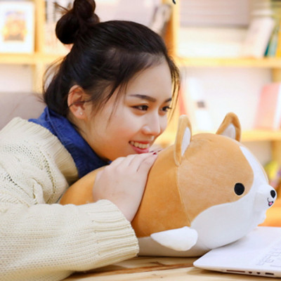 Thú nhồi bông hình chó Corgi đáng yêu TNB234 - Màu ngẫu nhiên