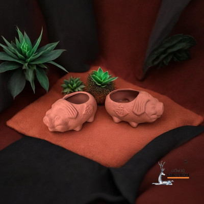 Chậu Gốm Đất Nung Hình chú Heo Con Mini