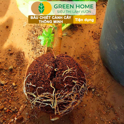 Bầu Chiết Cành Greenhome, Dụng Cụ Làm Vườn, Tăng Khả Năng Ra Rễ, Chống Úng Cành Chiết, Độ Bền Đến 2 Năm, Dễ Sử Dụng