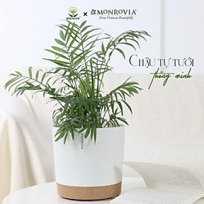 Chậu tự tưới thông minh Monrovia cho hoa, cây cảnh trong nhà và ngoài trời hình trụ tròn